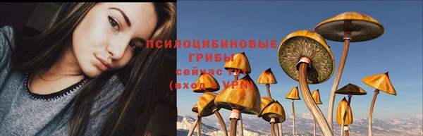 мяу мяу мука Армянск